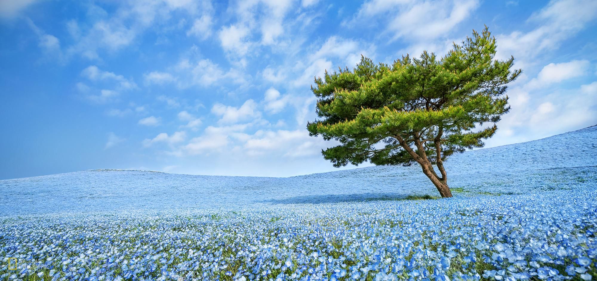 landschaft3